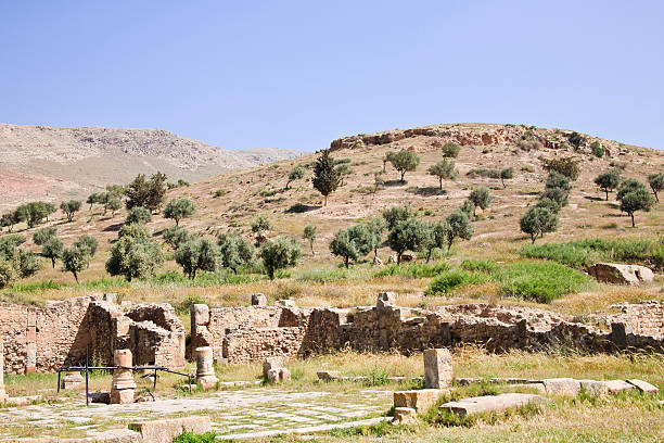 istock Tunisia: Setting of Bulla Regia Roman Site 186846040