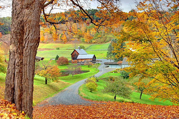 istock Autumn in Vermont 186846052