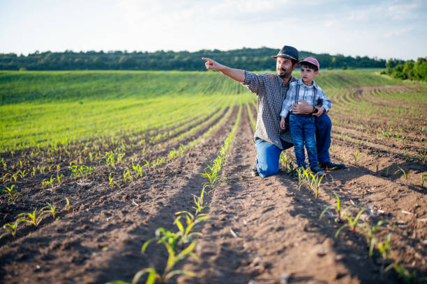 istock Little farmer and his dad. 1868460874