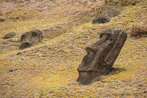 These “unfinished” Mo‘ai are scattered on the lower slope of Ma'unga Terevaka on Rapa Nui, the site of the Rapa Nui people’s quarry.