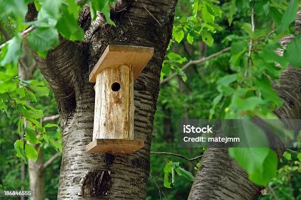 Foto de Vazio Casa e mais fotos de stock de Adulto - Adulto, Alimentar, Animal