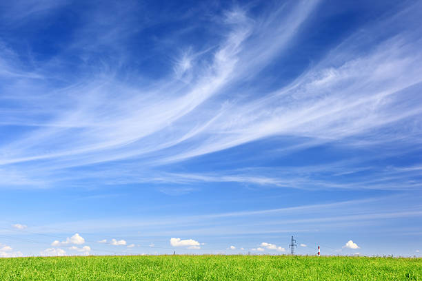 istock Green Field Landscape 186846598