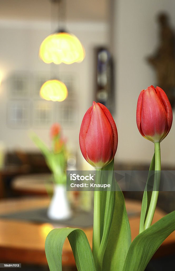 Flores de Tulipa vermelha na Mesa de Café com luzes - Royalty-free Colorido Foto de stock