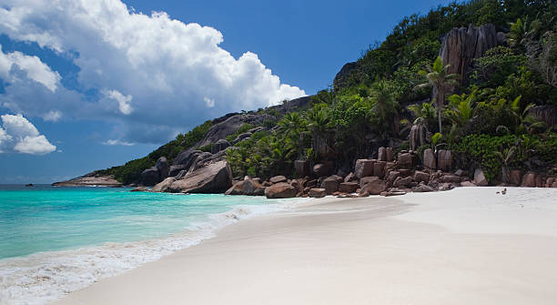istock Tropical island paradise beach 186847461