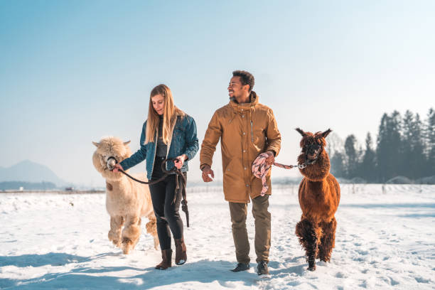 istock Heterosexual Couple Taking a Walk in the Snowy Mountains 1868480371