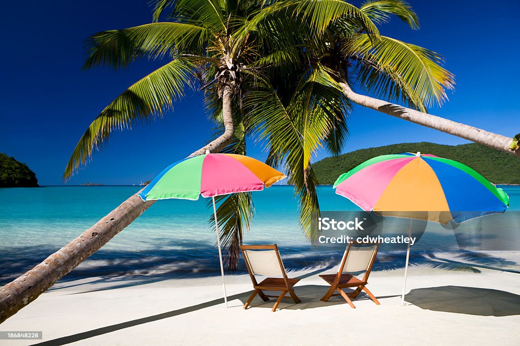 Des chaises longues et parasols sous les palmiers dans les îles Vierges - Photo de Palmier libre de droits