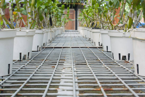 istock Potted plants in green house 1868482667