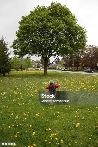 Laufen Entfernt Stockfoto und mehr Bilder von Ahorn - Ahorn, Ausreißer, Baum