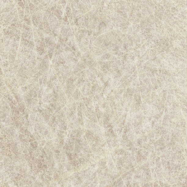 istock High Resolution Animal Skin Old Parchment Grunge Texture 186848469