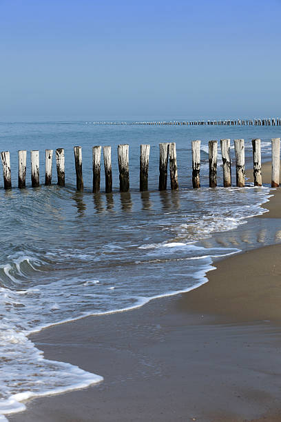 istock wooden breakwaters along the Dutch coast 186848856