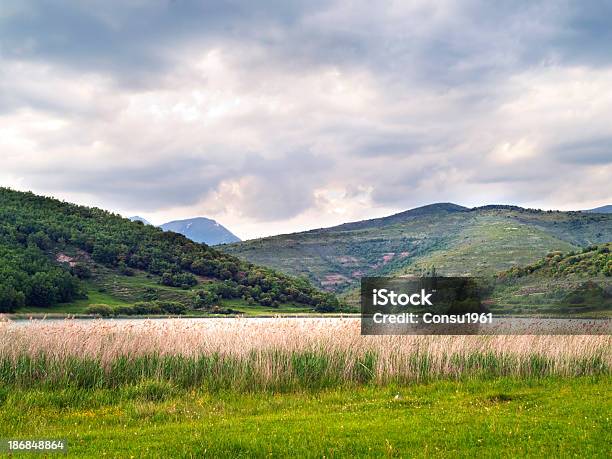 Paisaje Rural Foto de stock y más banco de imágenes de Aire libre - Aire libre, Arboleda, Cadena de montañas