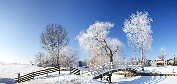 Oudega, Friesland "Oudega, Friesland (Netherlands) during winter. Beautiful frost in the trees.Click on the lightbox for more winter images:" friesland netherlands stock pictures, royalty-free photos & images