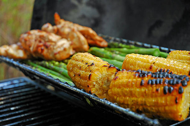 dos parrillas al aire libre - charbroil fotografías e imágenes de stock