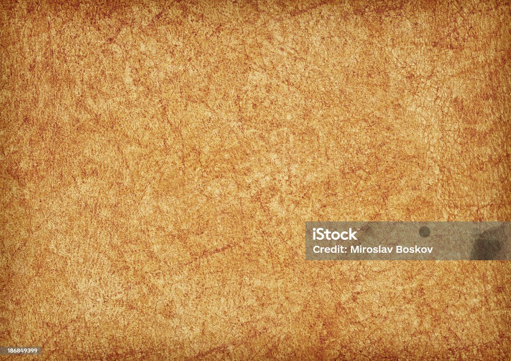 Hi-Res Animal Skin Parchment Wizened Mottled Vignette Grunge Texture This Large, High Resolution Animal Skin Parchment, Wizened, Mottled, Vignette Grunge Texture, is defined with exceptional details and richness, and represents the excellent choice for implementation within various CG Projects.  Abstract Stock Photo