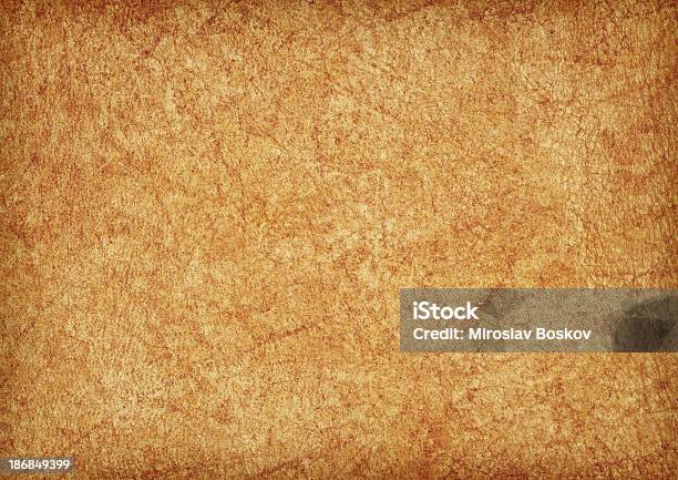Hires Animal Skin Parchment Wizened Mottled Vignette Grunge Texture Stock Photo - Download Image Now