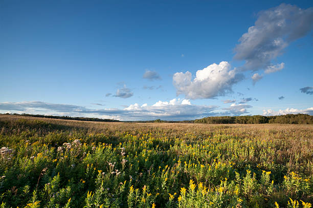 istock Riding Mountain National Park 186849541