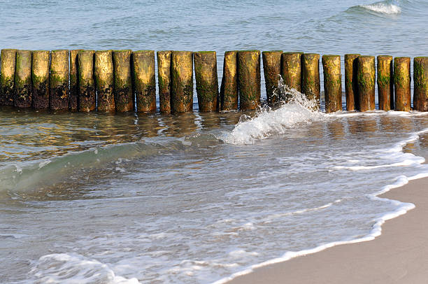 espigón con olas del mar báltico playa de darss penínsulas (alemania - bohlen fotografías e imágenes de stock