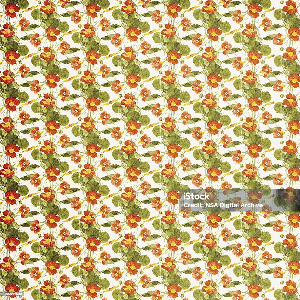 Papel de parede Floral Vintage de alta resolução - Royalty-free Antiguidade Foto de stock