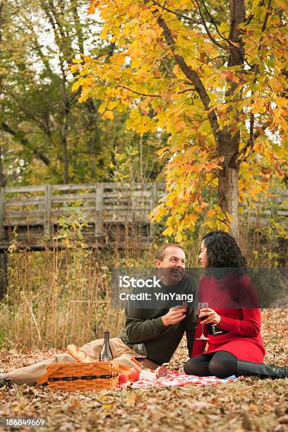 Romantisches Paar Picniking Im Herbst Park Vt Stockfoto und mehr Bilder von Alkoholisches Getränk - Alkoholisches Getränk, Asiatische Kultur, Asiatischer und Indischer Abstammung
