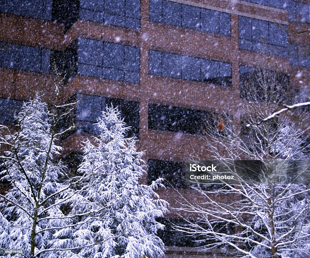 Cadere da neve - Foto stock royalty-free di Ufficio