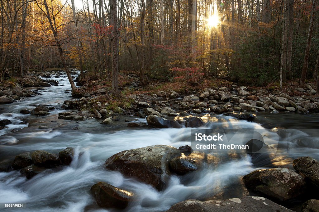 Wschód słońca na Mały Gołąb Rzeka - Zbiór zdjęć royalty-free (Park Narodowy Great Smoky Mountains)