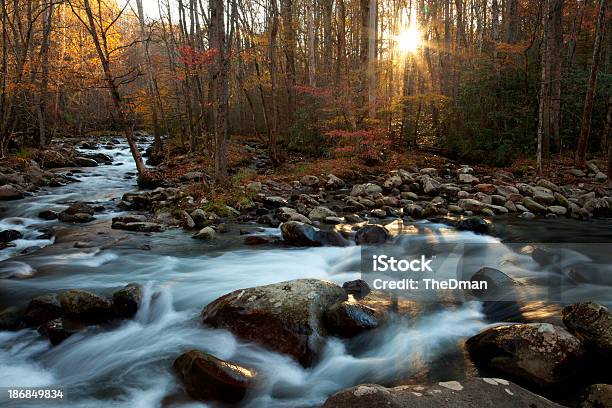 Wschód Słońca Na Mały Gołąb Rzeka - zdjęcia stockowe i więcej obrazów Park Narodowy Great Smoky Mountains - Park Narodowy Great Smoky Mountains, Wschód słońca, Bez ludzi