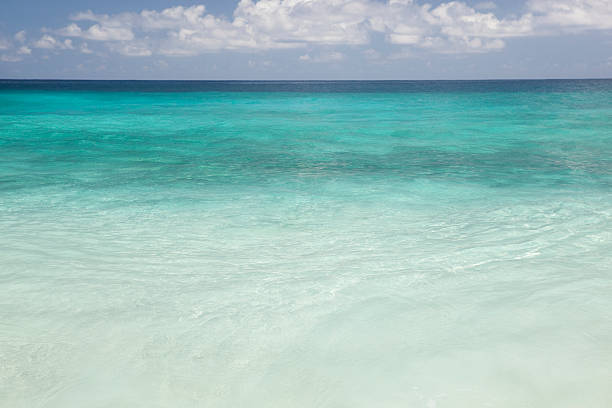istock Tropical island paradise beach 186849946