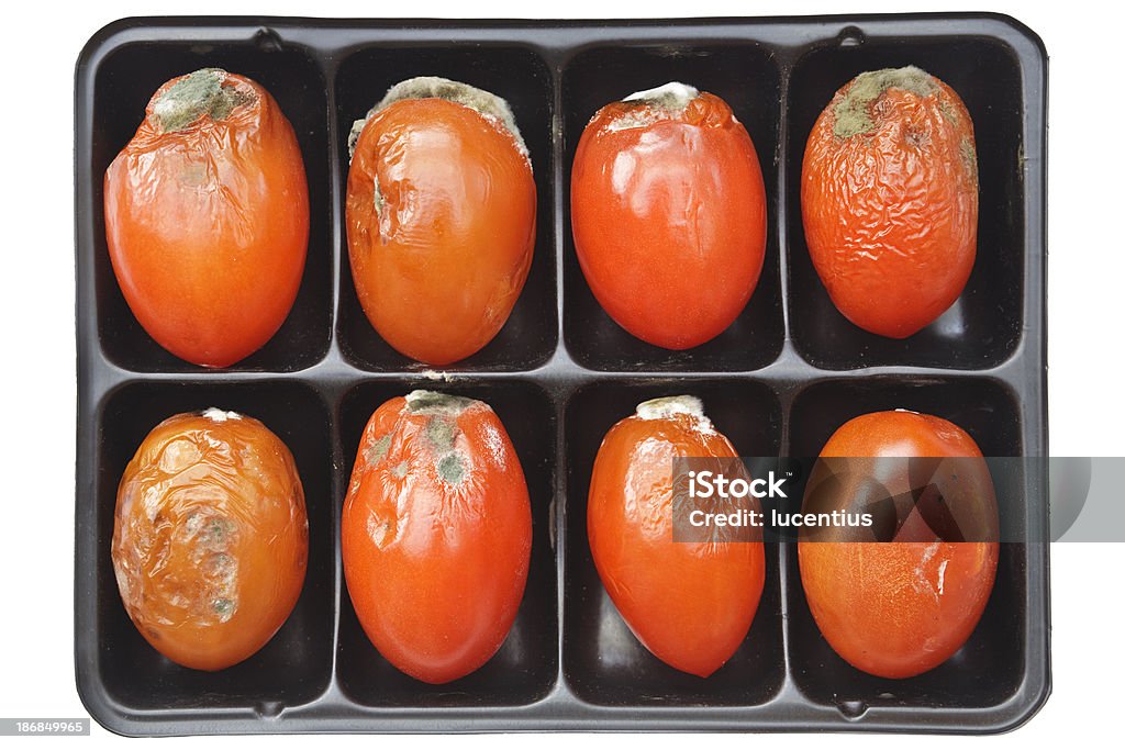 Taca z moldy pomidory na białym tle - Zbiór zdjęć royalty-free (Gnijący)