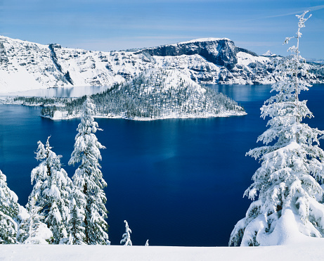 SNOW COVERED TREES AT THE RIM OF CRATER LAKE NATIONAL PARK, OREGON