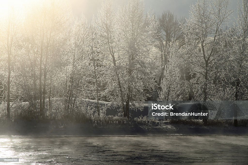 Туманный Река Боу - Стоковые фото Альберта роялти-фри