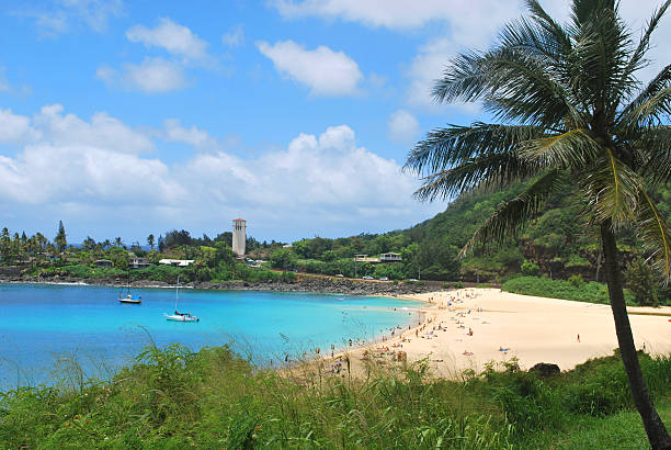 istock Waimea Bay Beach Park, North Shore Oahu. 186850621