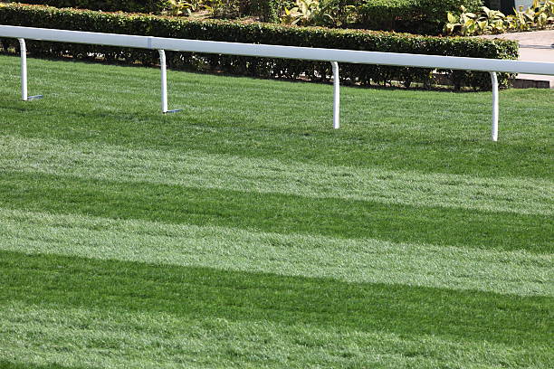 istock Horse Racing Track 186851122
