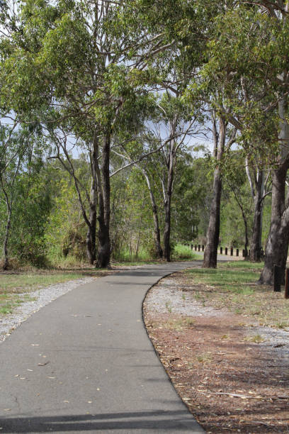 istock Cement path through a forest of trees in a park 1868512660
