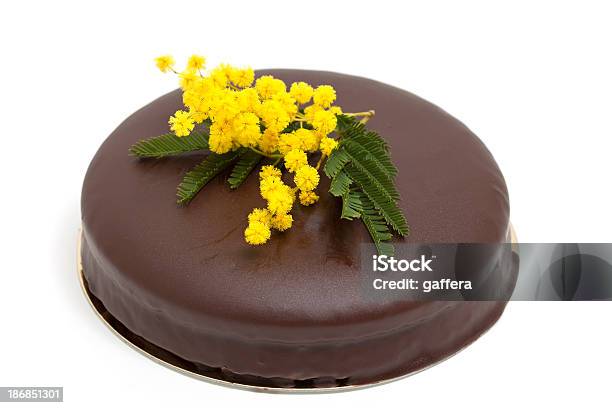 Torta Al Cioccolato Con Fiori Di Mimosa - Fotografie stock e altre immagini di Dolce - Dolce, Bocciolo, Cibi e bevande