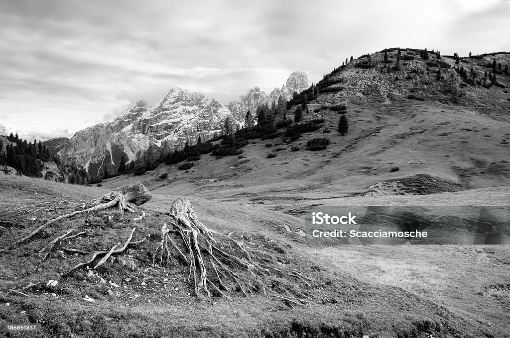 Dolomitic paisaje - Foto de stock de Blanco y negro libre de derechos