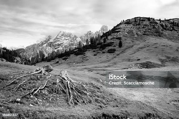 Foto de Dolomitic Paisagem e mais fotos de stock de Natureza morta - Natureza morta, Preto e branco, Acabado