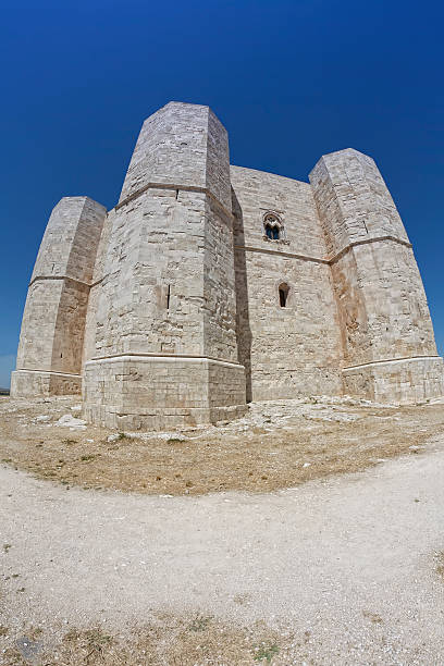 istock Castle in  fisheye(Castel del Monte, Apulia - Southern Italy) 186851685