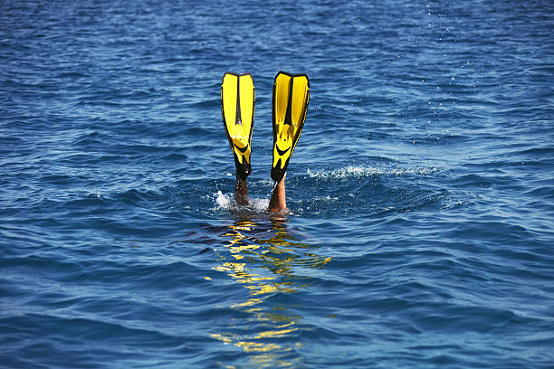 istock Man Diving in the Sea 186851846