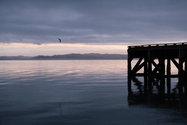 Sunrise Wharf Magazine Bay