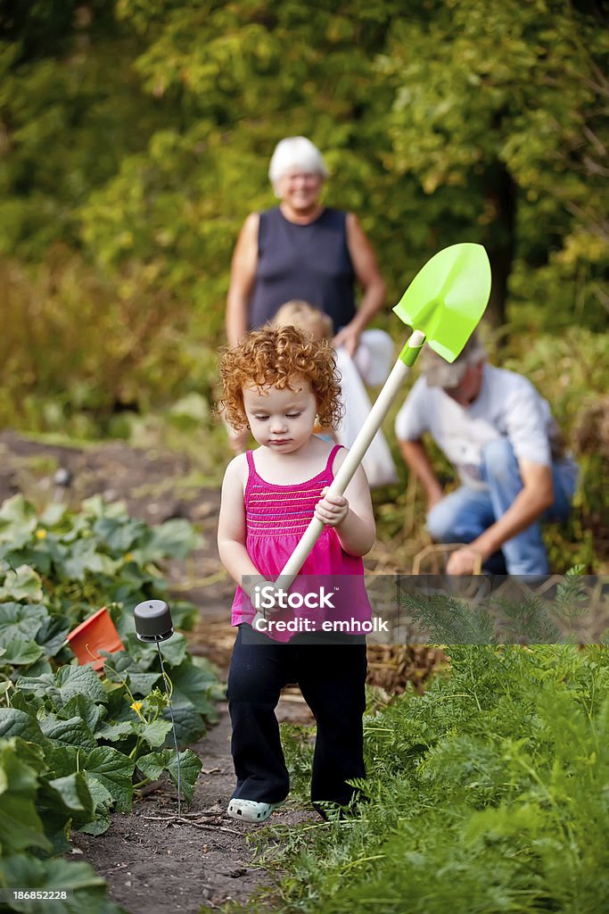 Girl Carrying Shovel in Garden Little girl carrying a shovel through the garden while her sister (behind her) and grandparents dig potatoes. Vegetable Garden Stock Photo