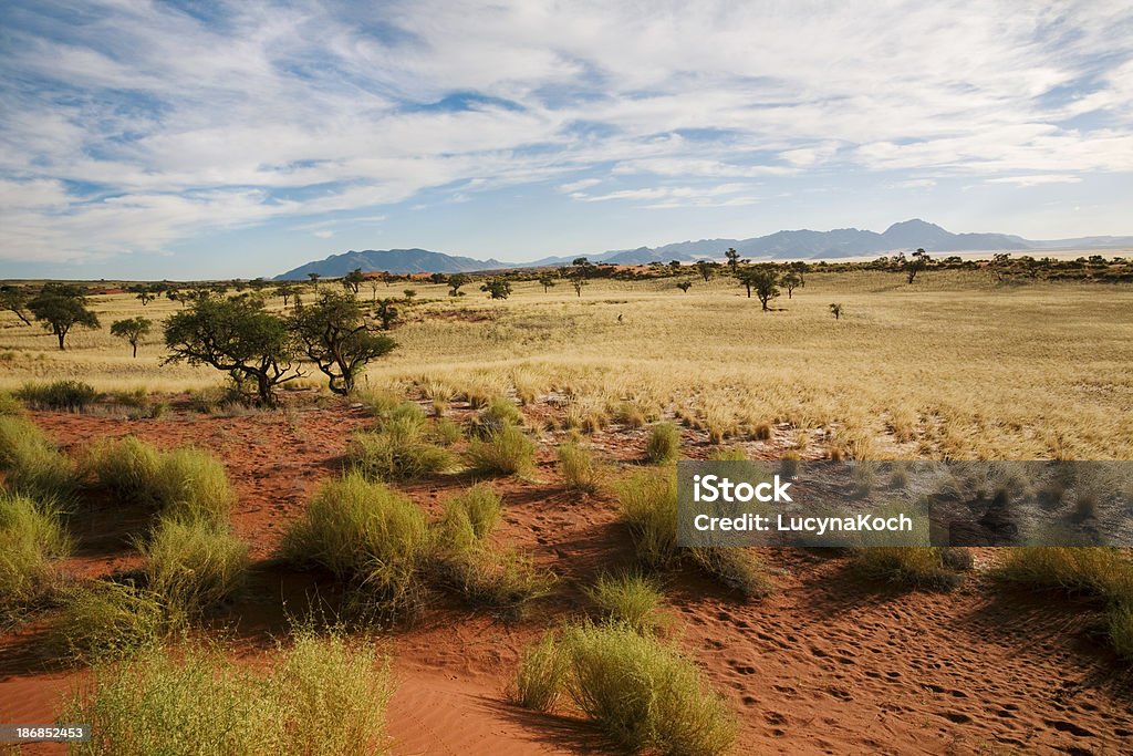 Reservat - Lizenzfrei Afrika Stock-Foto