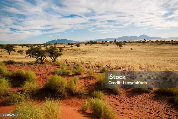 Reservat Stockfoto und mehr Bilder von Afrika - Afrika, Ausgedörrt, Baum