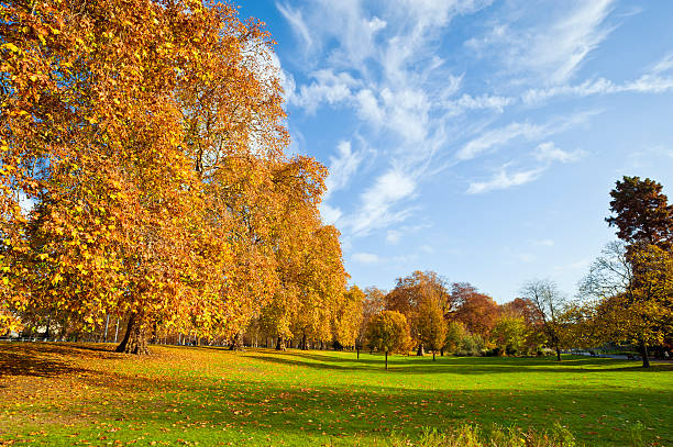 Wonderful autumn colours in a park near Tunbridge Wells in Kent, England