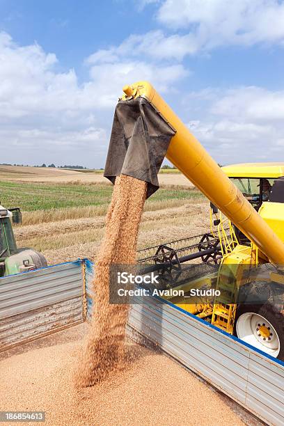 Modern Agriculture Harvest Stock Photo - Download Image Now - Tractor, Wheat, Activity