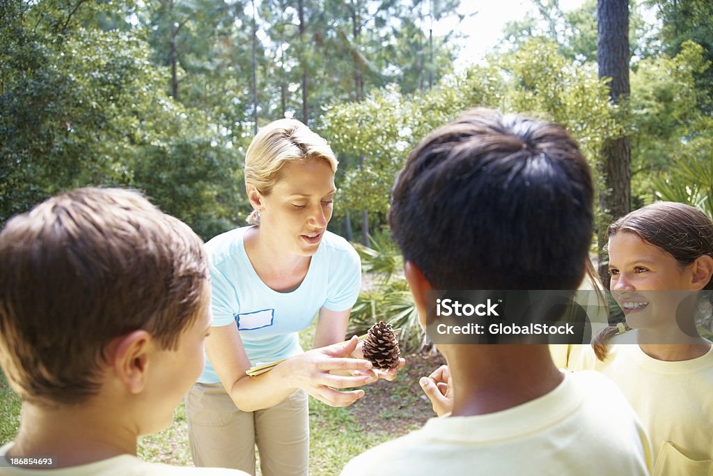 Professor explicando para os alunos sobre pinheiro em uma floresta - Foto de stock de Adolescente royalty-free