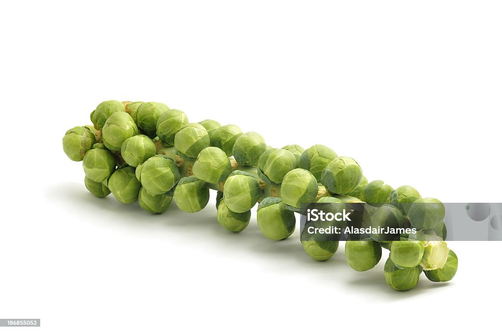 Sprouts en un tallo engrosados que - Foto de stock de Col de Bruselas libre de derechos