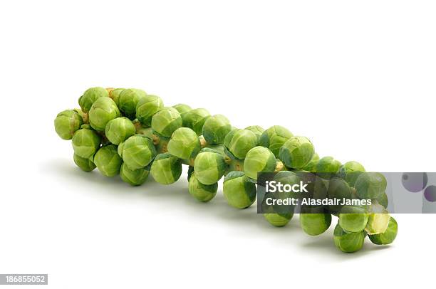 Sprouts En Un Tallo Engrosados Que Foto de stock y más banco de imágenes de Col de Bruselas - Col de Bruselas, Tallo, Recortable