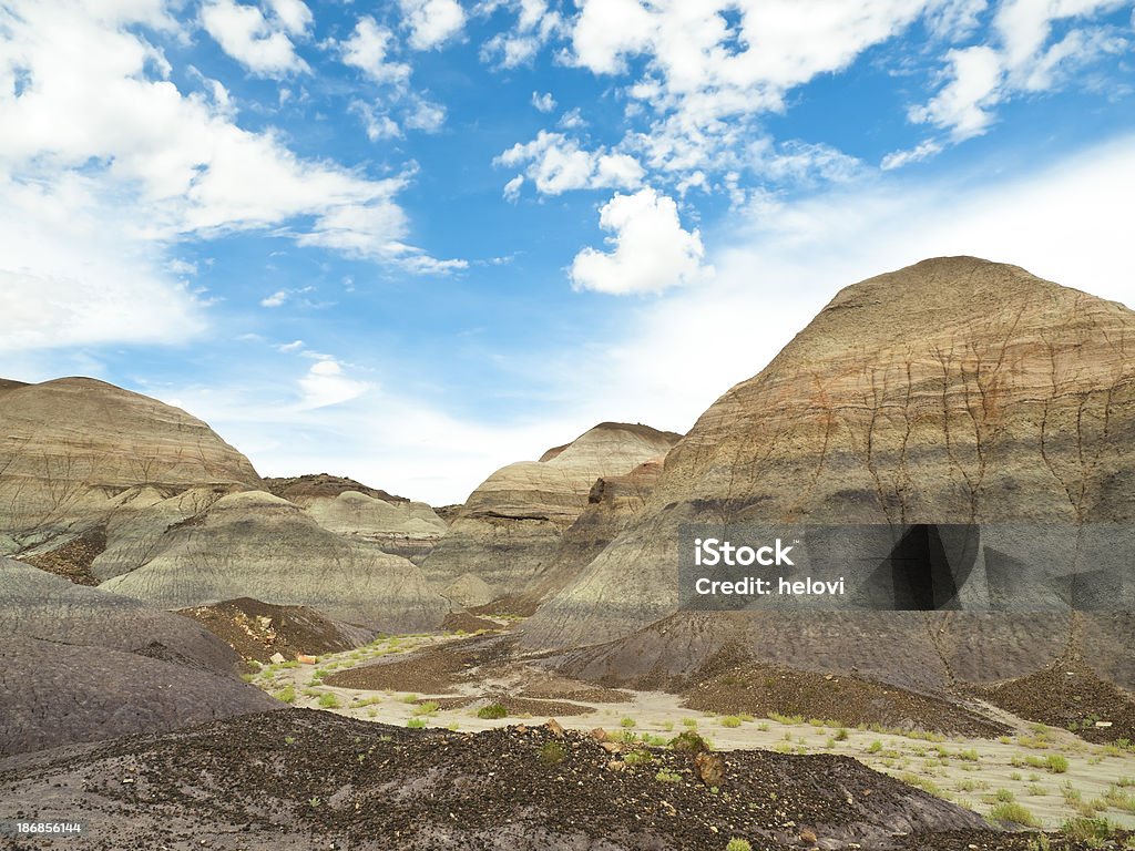 Painted desert "Landscape, dry riverbed in the painted desert of Arizona, part of the petrified national forest located off historic US Route 66." Animal Wildlife Stock Photo