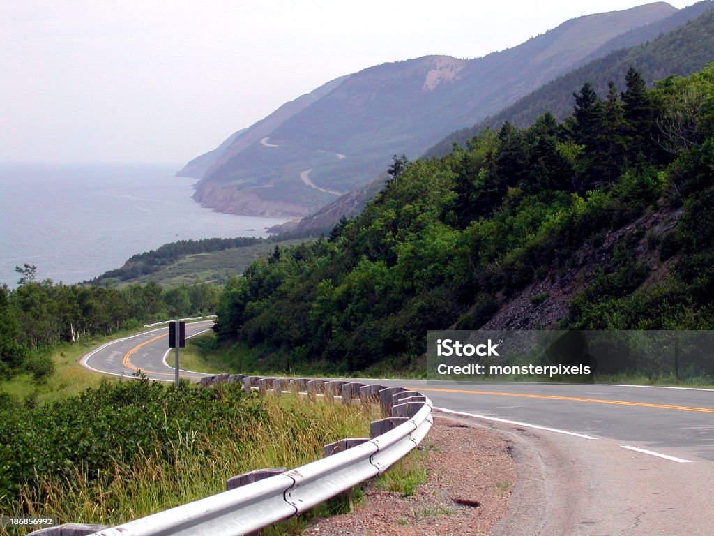 Paisaje y carretera con curvas 02 - Foto de stock de Animal libre de derechos