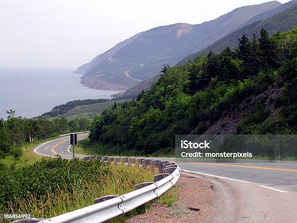 Paisaje Y Carretera Con Curvas 02 Foto de stock y más banco de imágenes de Animal - Animal, Colina, Conducir